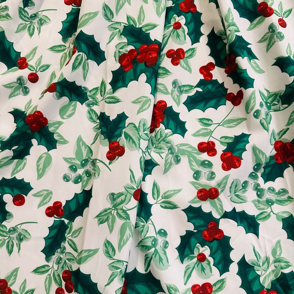 😍🎄 NWT Retro 60’s Holly Dress 👗👌🏼💖🎄😍
Size S/M Amazing on! 🤩 Holiday SuperStar! - Picture 4 of 8